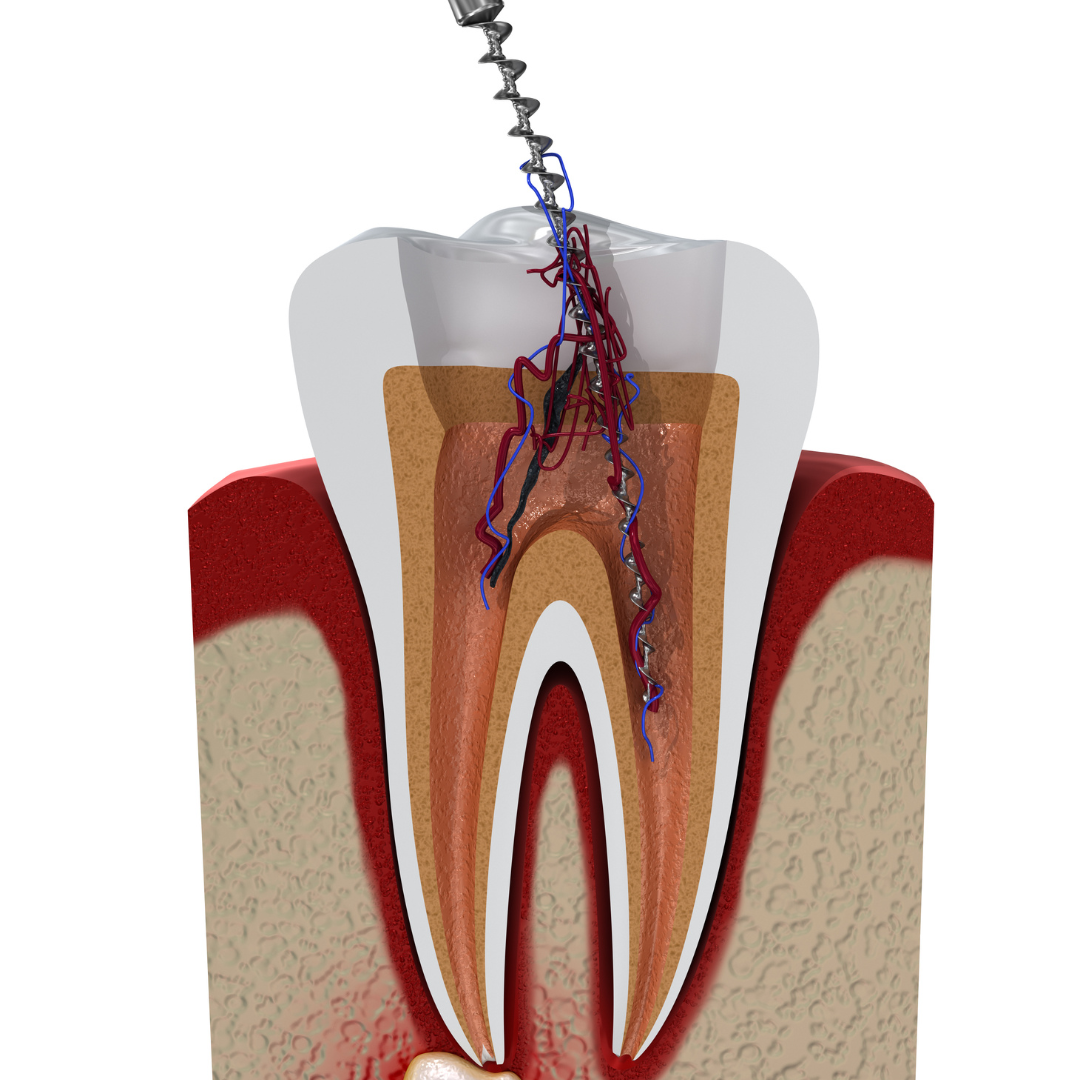 dental clinic shalimar bagh